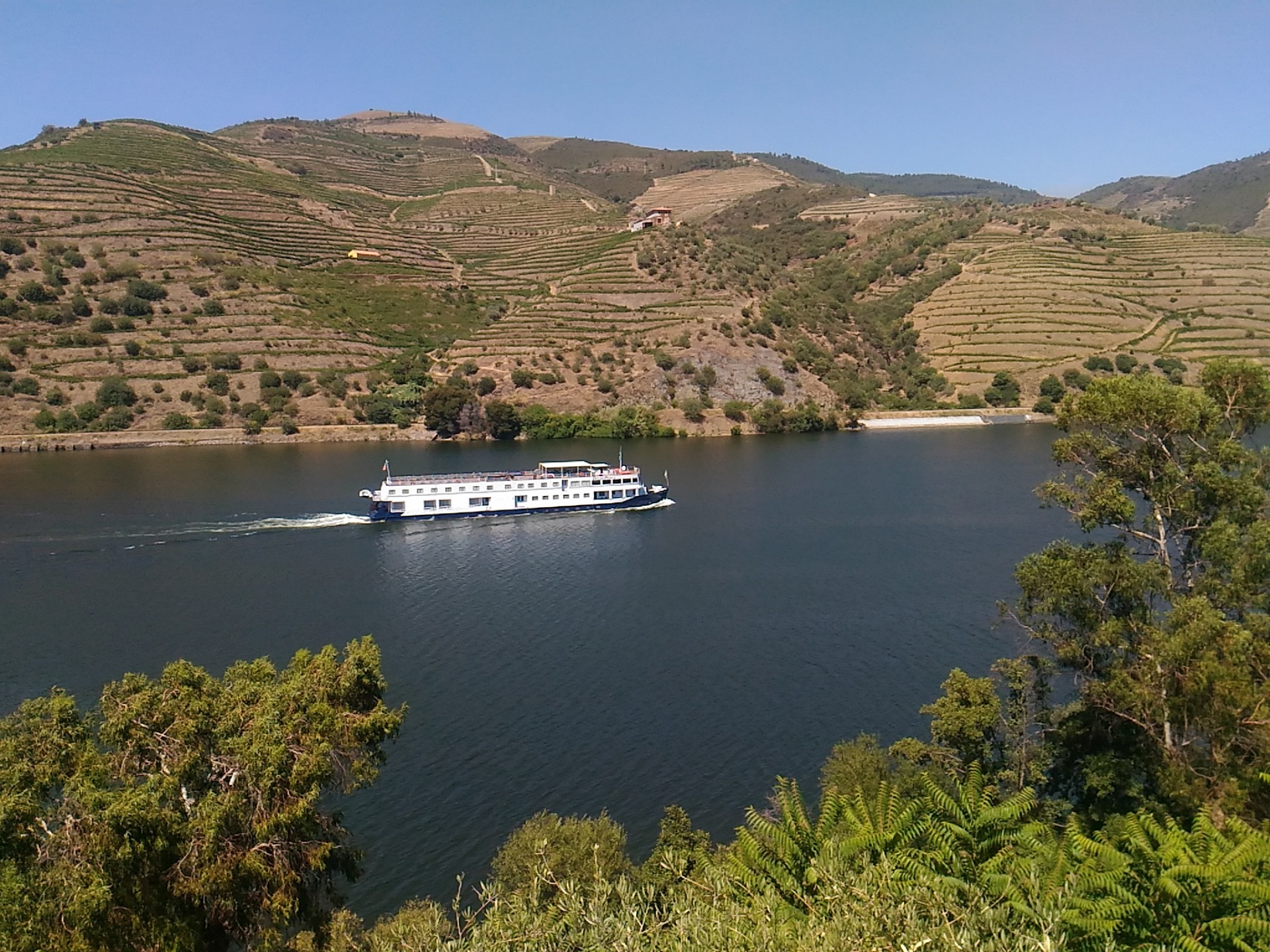Tour do Douro Vinhateiro